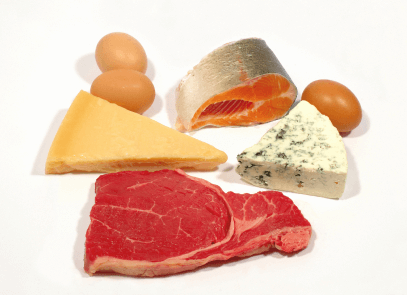 Animal protein source